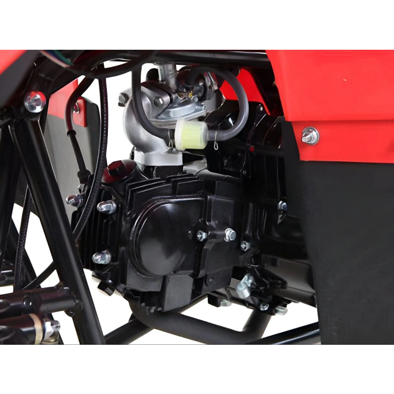 Квадроцикл MOTAX ATV A-54