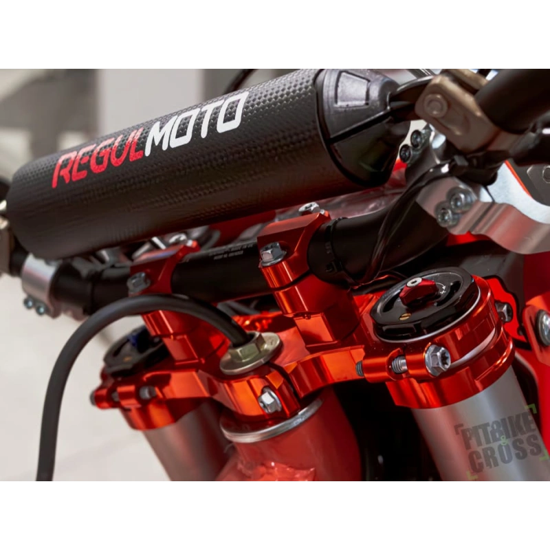 Мотоцикл кроссовый эндуро REGULMOTO Crosstrec 300