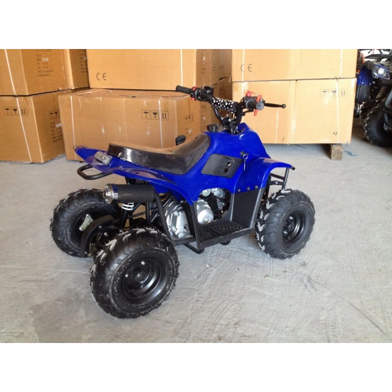 Квадроцикл RAPTOR 110