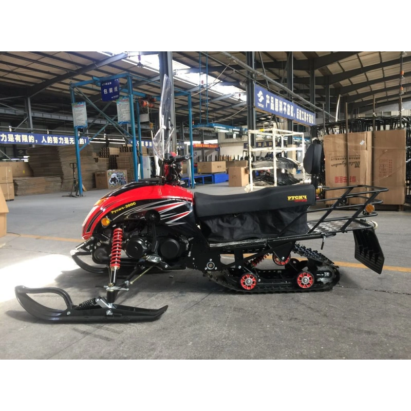 Снегоход РУСИЧ 200C