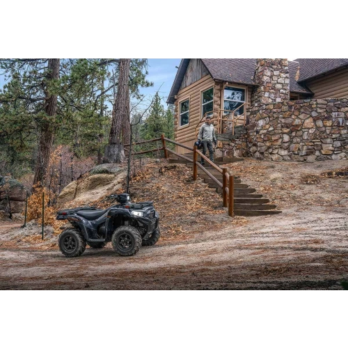 Квадроцикл KAWASAKI Brute Force 750 EPS (2024) (ПСМ)