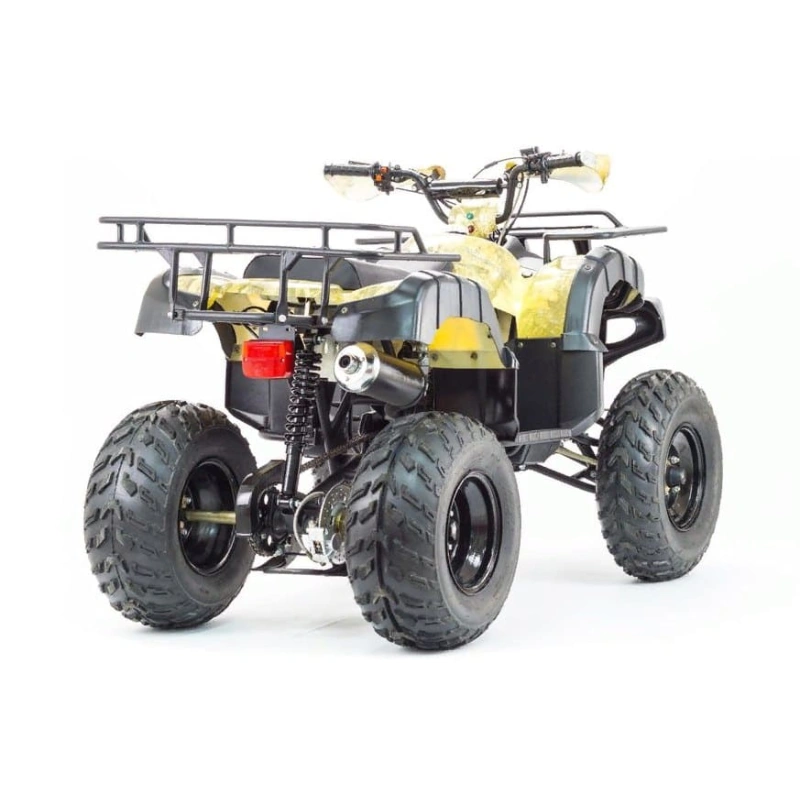 Квадроцикл MOTOLAND 250 Adventure (2021 Г.)