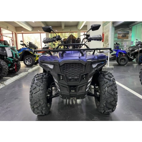 Квадроцикл IRIDE Wolf 300