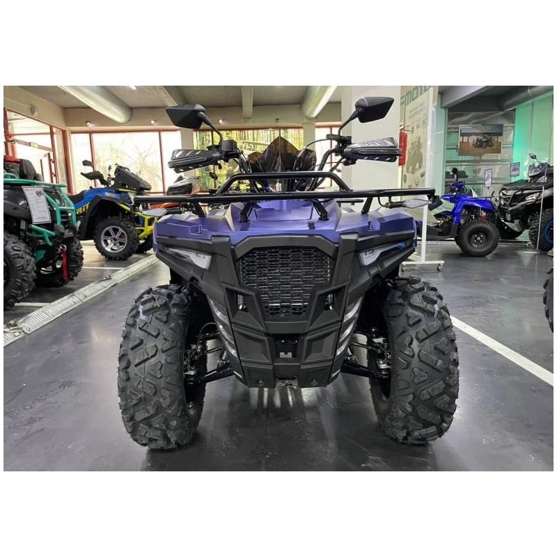 Квадроцикл IRIDE Wolf 300