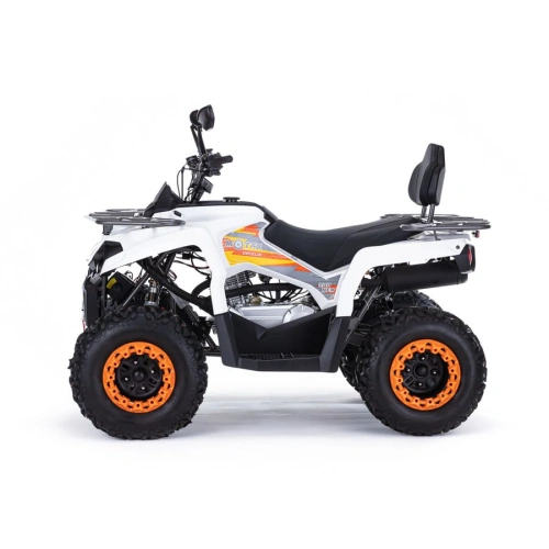 Квадроцикл MOTAX ATV Grizlik 200 Ultra
