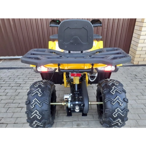 Квадроцикл MOTOLAND ATV 200 Wild Track