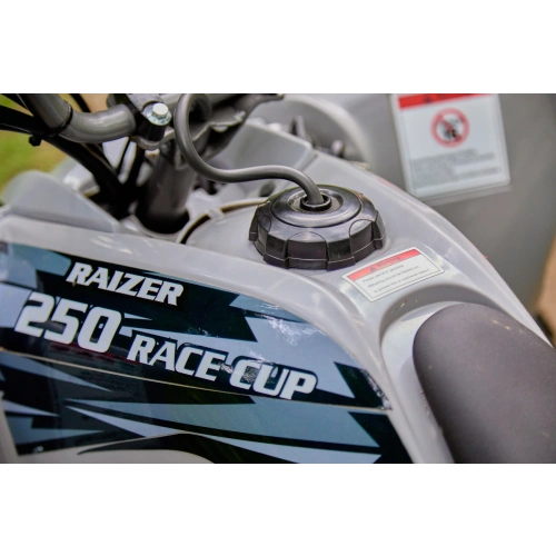 Квадроцикл SHARMAX Raizer Race Cup 250