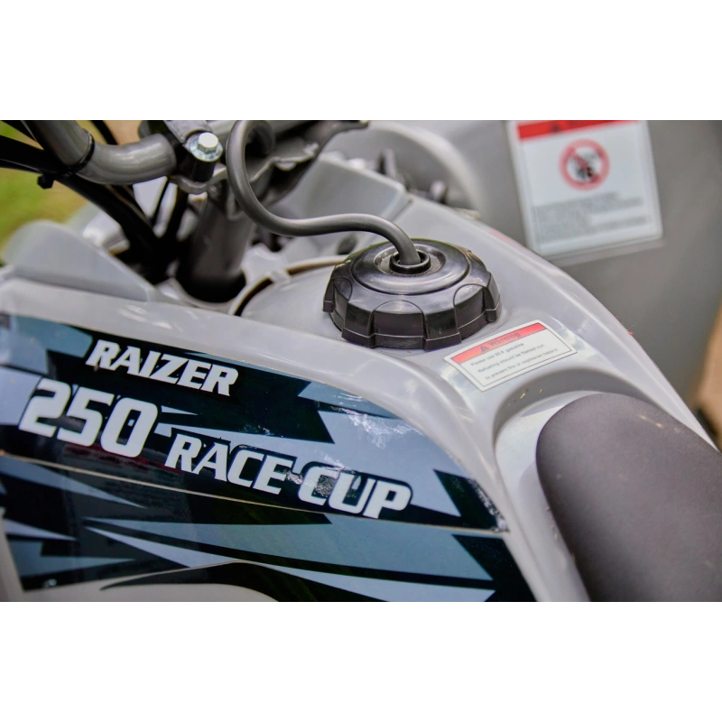 Квадроцикл SHARMAX Raizer Race Cup 250