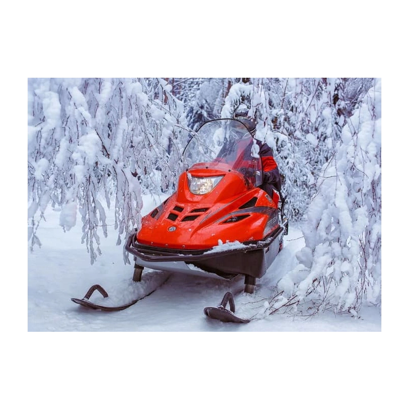 Снегоход РУССКАЯ МЕХАНИКА Тайга Варяг 550V