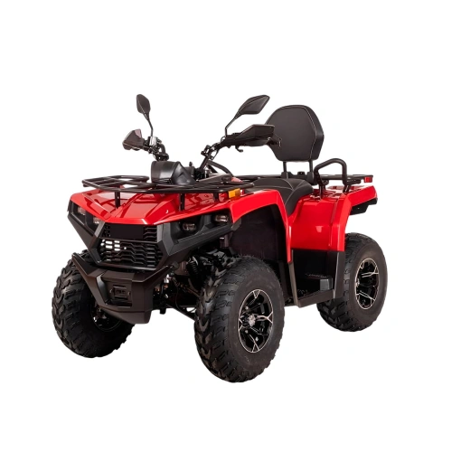 Квадроцикл BIZON YK200 Basic Carb