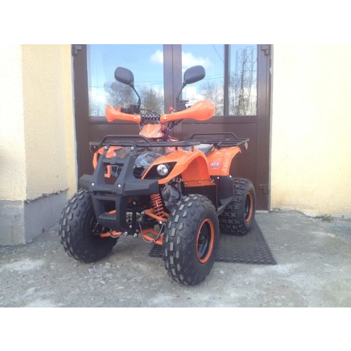 Квадроцикл ATV Termit Libre