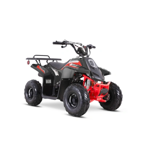 Квадроцикл SHARMAX 130 Cross