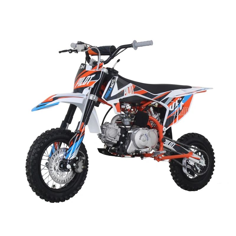 Питбайк REGULMOTO Pilot EA 12/10