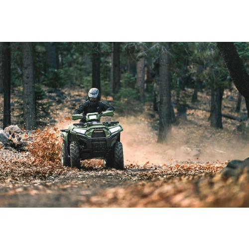 Квадроцикл KAWASAKI Brute Force 750 LE EPS (2024) (ПСМ)