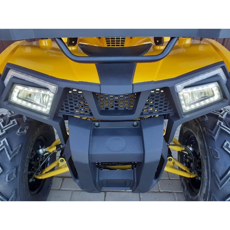 Квадроцикл MOTOLAND ATV 200 Wild Track