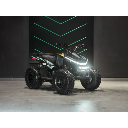 Квадроцикл SHARMAX Cross 180 RX
