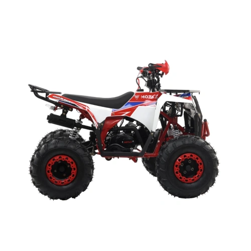 Квадроцикл MOTAX Grizlik A125