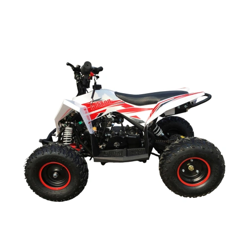 Квадроцикл MOTAX Gekkon 90cc