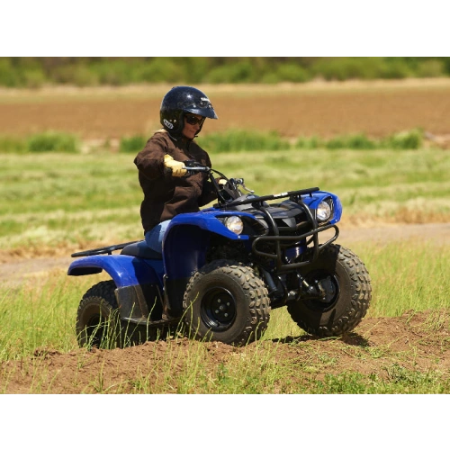 Квадроцикл GRIZZLY 125