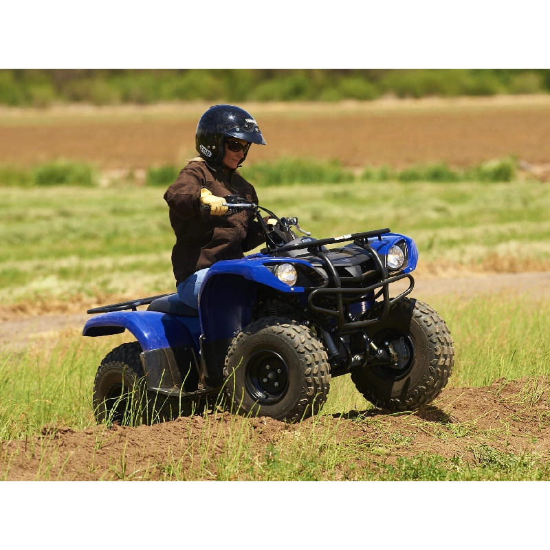 Квадроцикл GRIZZLY 125