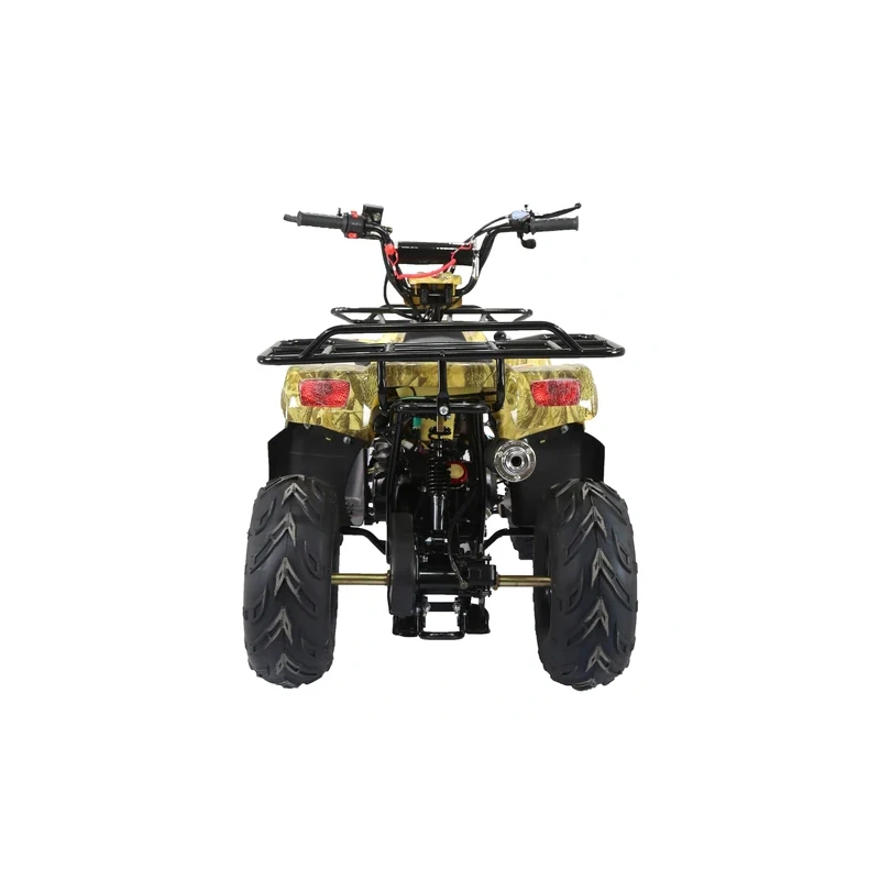 Квадроцикл ATV Termit TT