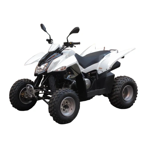 Квадроцикл SYM QuadRaider 300 SS