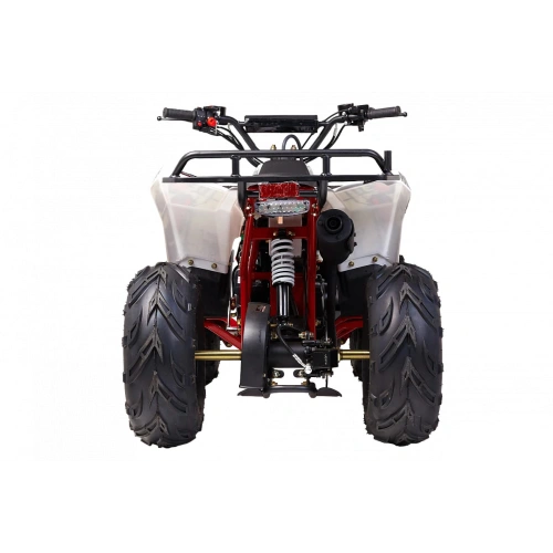 Квадроцикл WELS Thunder Evo M детский