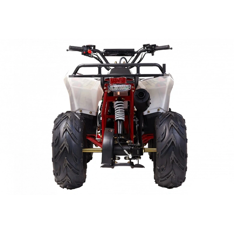 Квадроцикл WELS Thunder Evo M детский