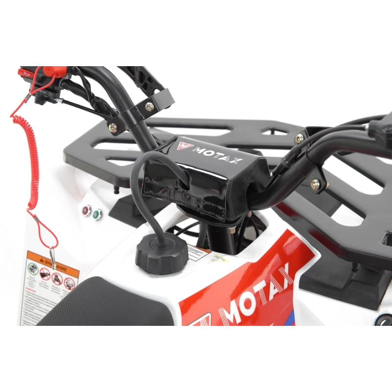 Квадроцикл MOTAX Grizlik A125