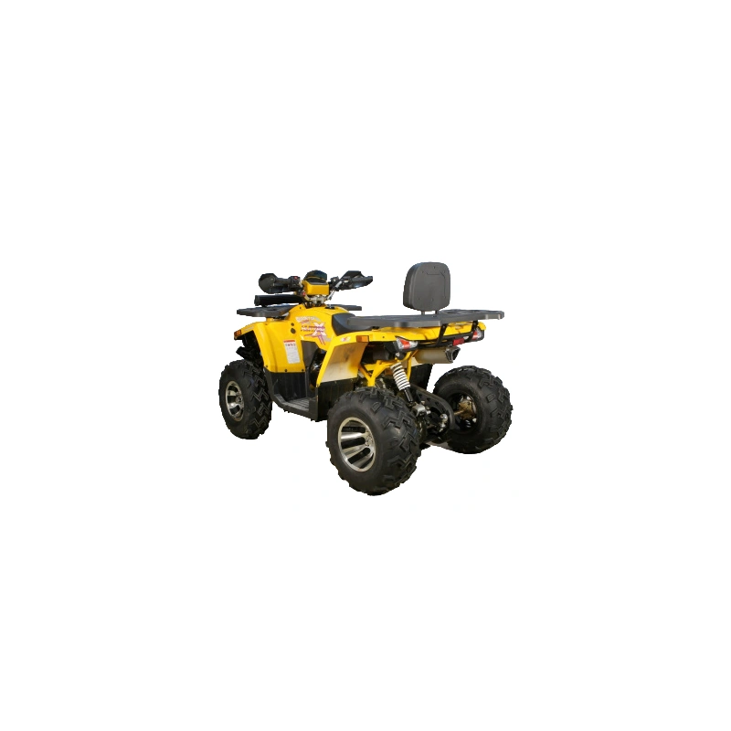 Квадроцикл AVANTIS Hunter 200 Big Premium (Баланс. вал)