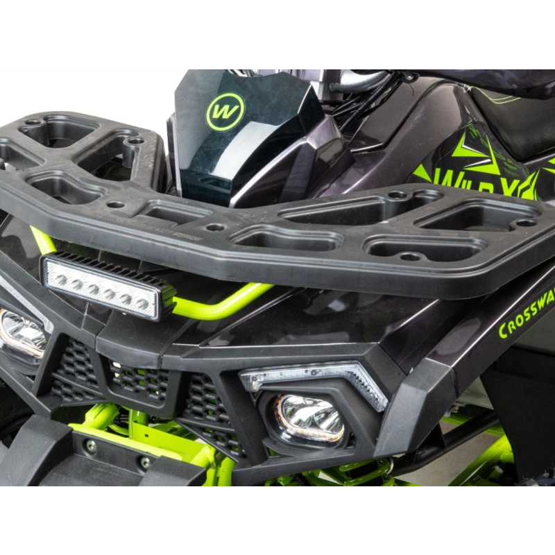 Квадроцикл MOTOLAND 125 Wild X Pro