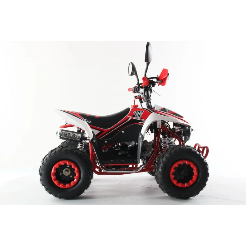 Квадроцикл MOTAX Mikro 110 New