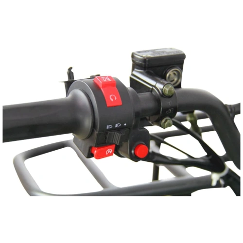 Электроквадроцикл AVANTIS ATV Classic 8E (1000W)