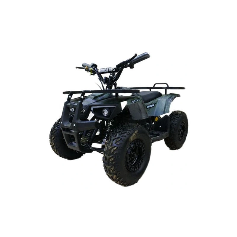 Электроквадроцикл MOTAX Grizlik X16 New E1000 Big Wheel