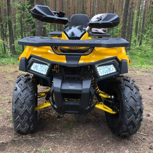 Квадроцикл MOTOLAND 200 Wild Track X