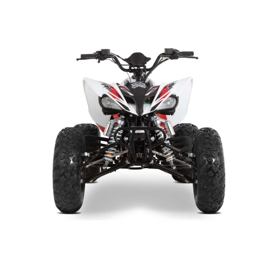 Квадроцикл SHARMAX Raizer Race Cup 250
