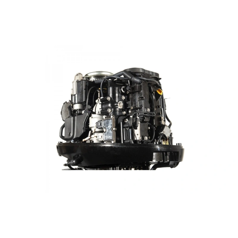 4х-тактный лодочный мотор GOLFSTREAM F100FEL-T EFI
