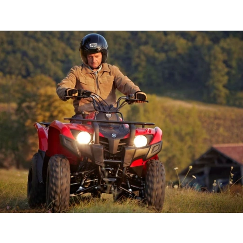 Квадроцикл YAMAHA Segway 300