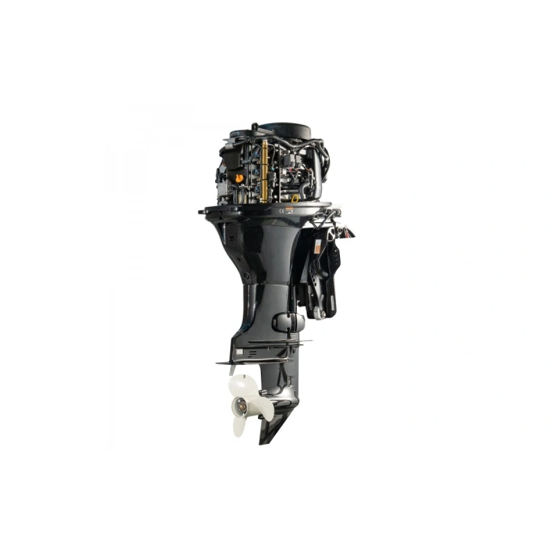 4х-тактный лодочный мотор GOLFSTREAM F100FEL-T EFI