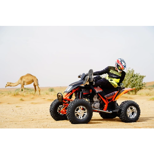 Квадроцикл SHARMAX 550 GX-Cruiser