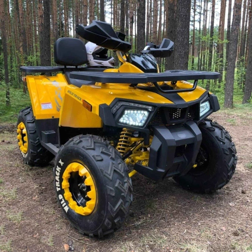 Квадроцикл MOTOLAND 200 Wild Track X