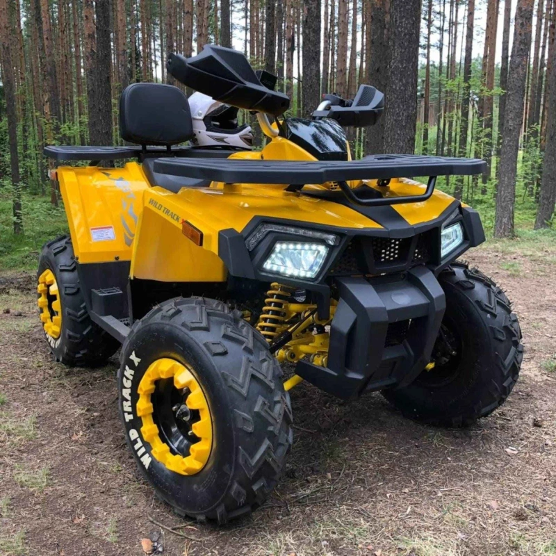 Квадроцикл MOTOLAND 200 Wild Track X