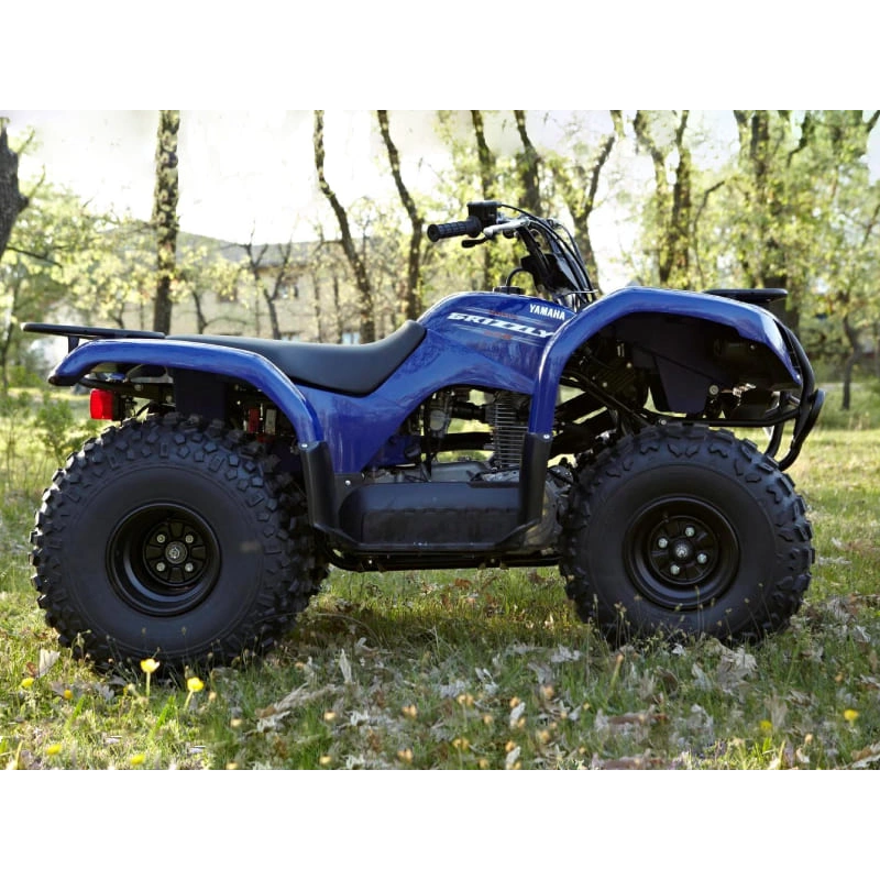 Квадроцикл GRIZZLY 125