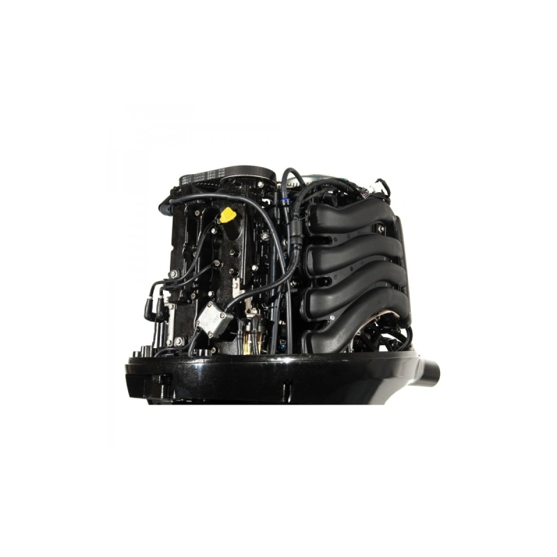 4х-тактный лодочный мотор GOLFSTREAM F100FEL-T EFI