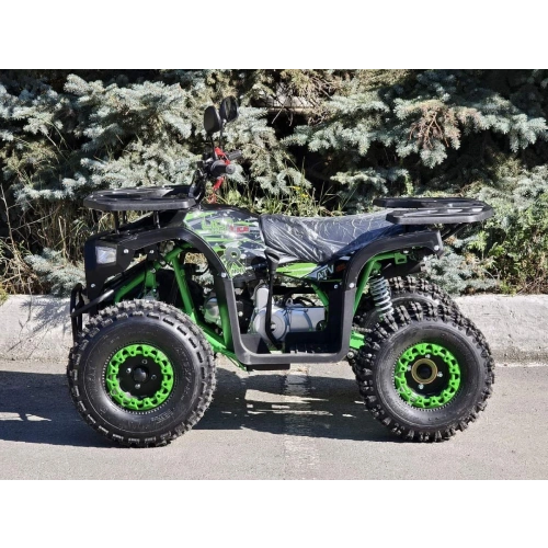 Квадроцикл RMOTO Lion 125AR Lite