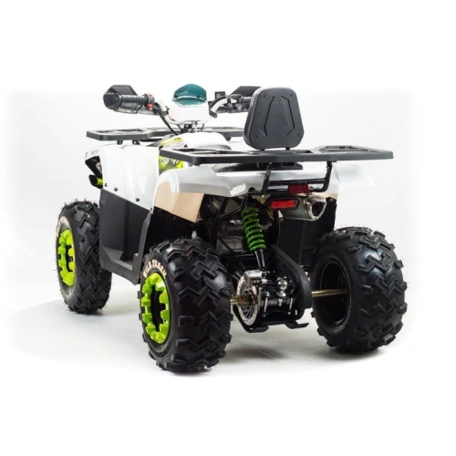 Квадроцикл MOTOLAND ATV 200 Wild Track