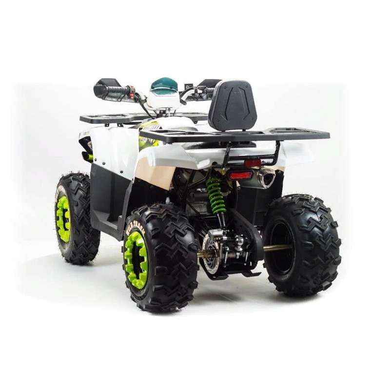 Квадроцикл MOTOLAND ATV 200 Wild Track