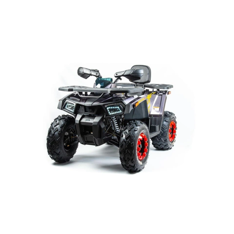 Квадроцикл MOTOLAND 200 Wild Track X Pro (2022)