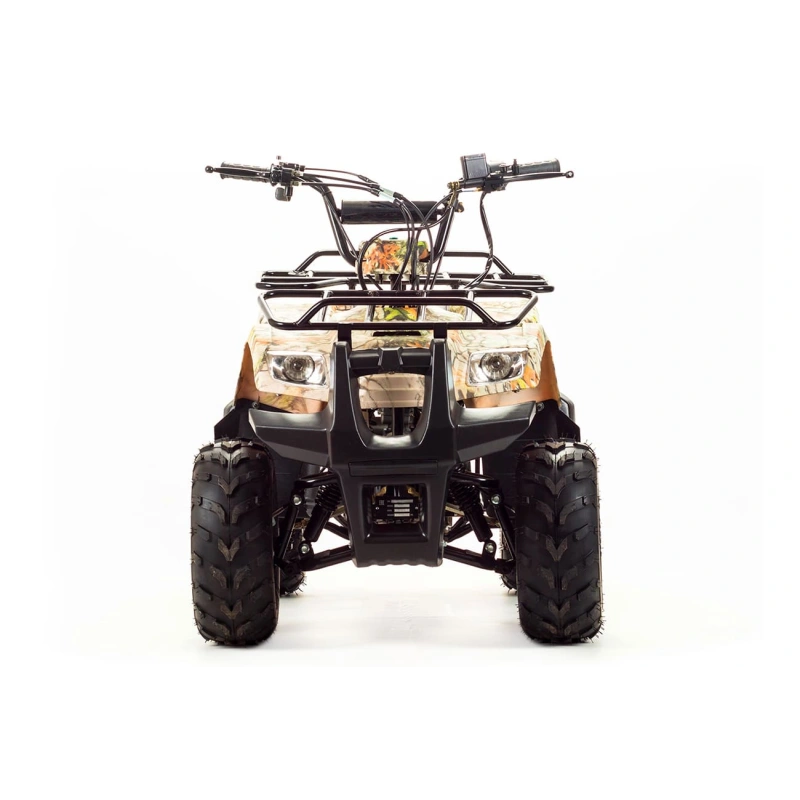 Квадроцикл MOTOLAND 110 Rider (2021 Г.)
