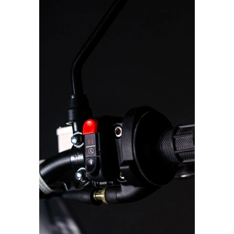 Мотоцикл кроссовый эндуро BSE RTC-300R Y 1.0